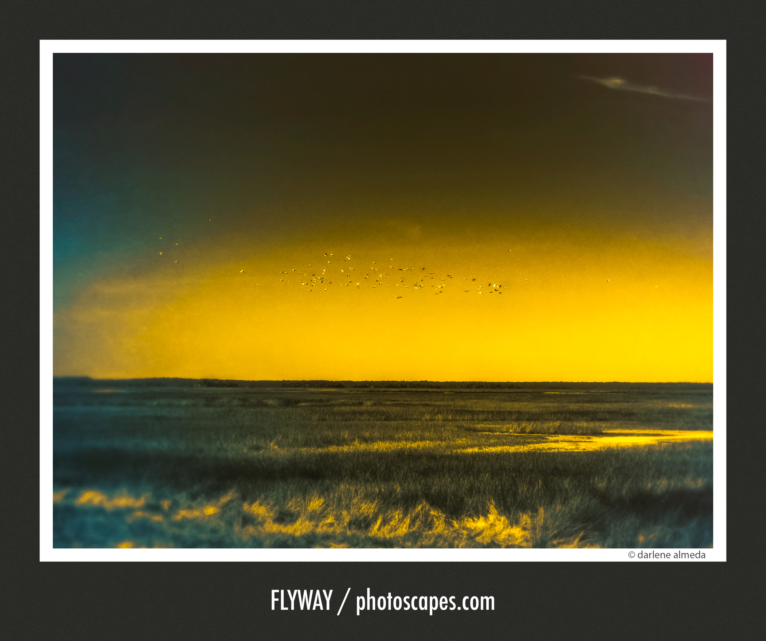 FLYWAY 907x + 45P + CFV II 50c