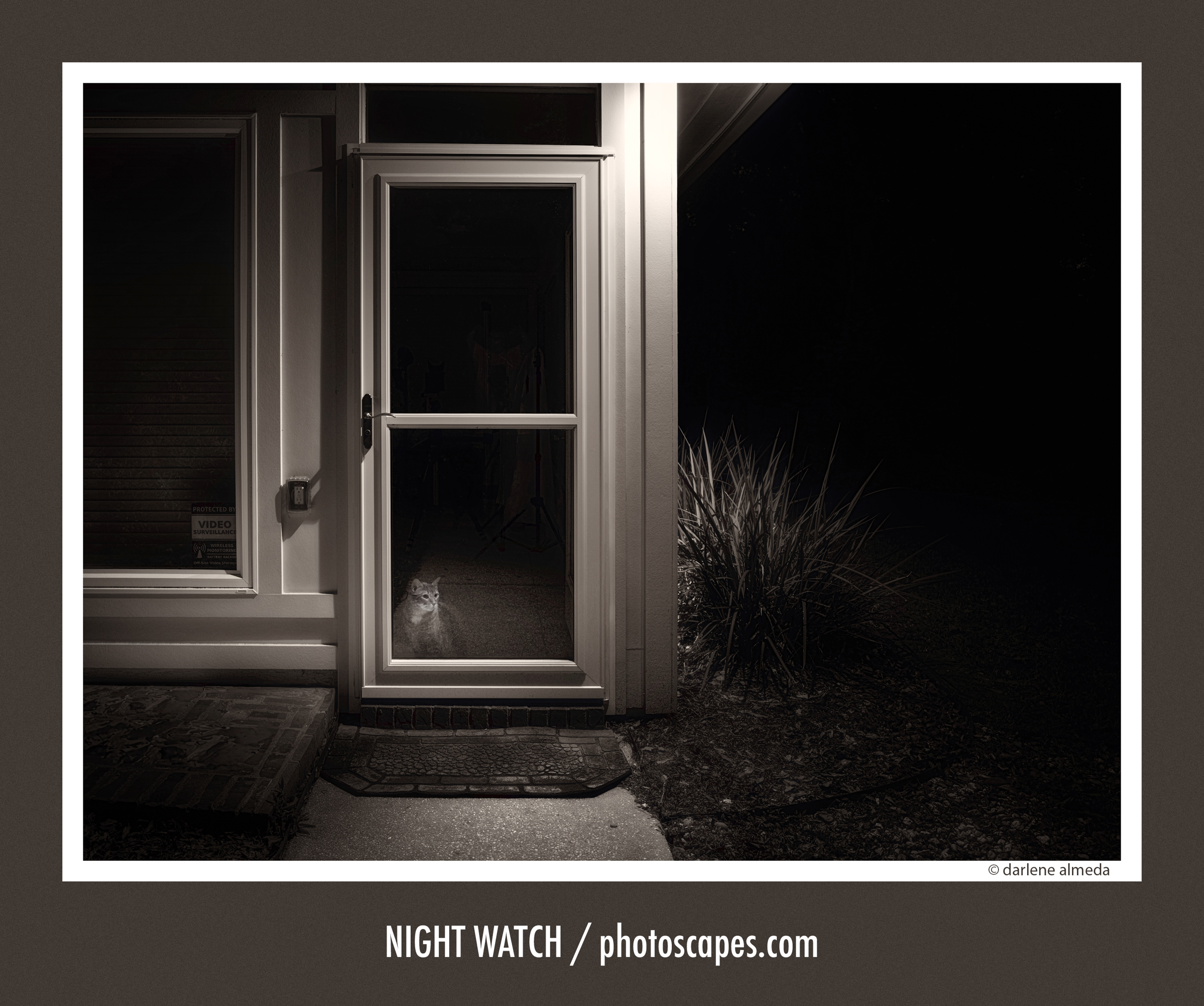 NIGHT WATCH 907x + 28P