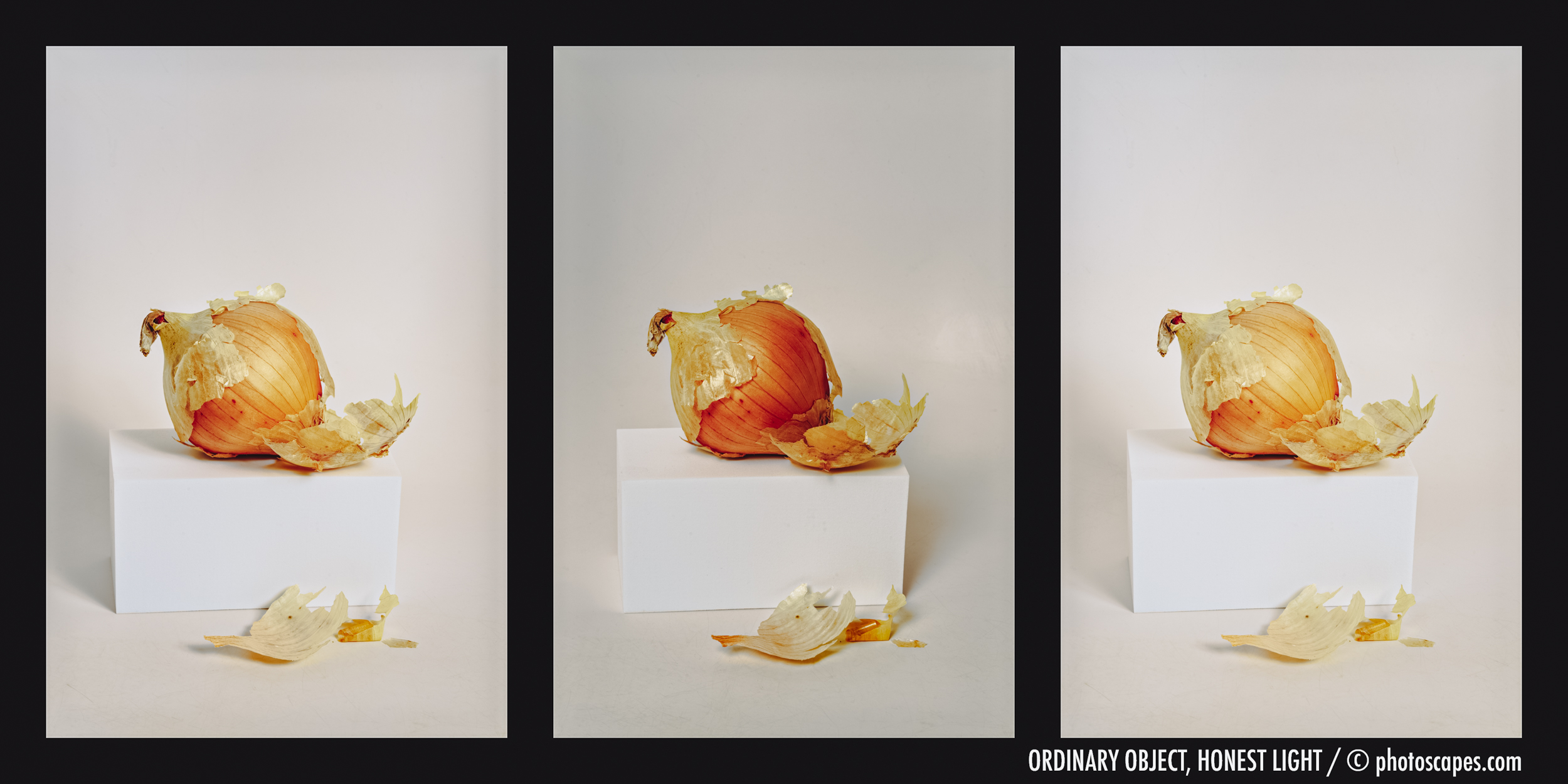 ORDINARY OBJECT, HONEST LIGHT