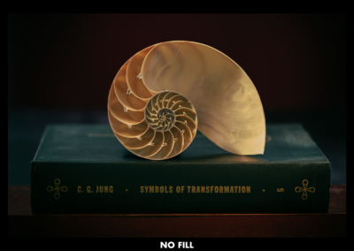 CONTRAST BY DESIGN - NO FILL