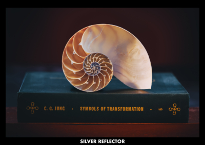 CONTRAST BY DESIGN - SILVER REFLECTOR