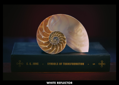 CONTRAST BY DESIGN - WHITE REFLECTOR