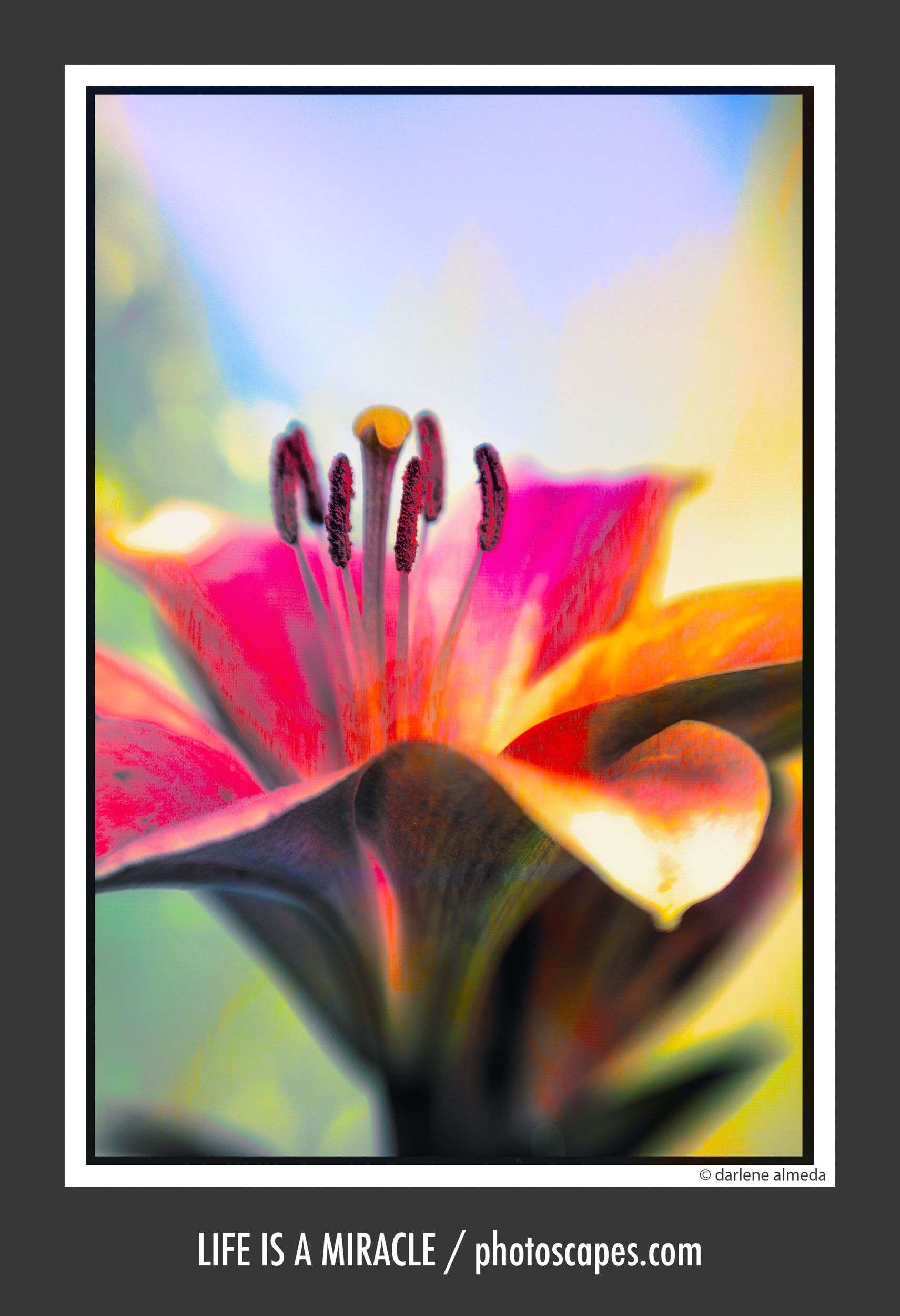 LIFE IS A MIRACLE 2018: FUJI X-PRO2 + ZEISS 50M