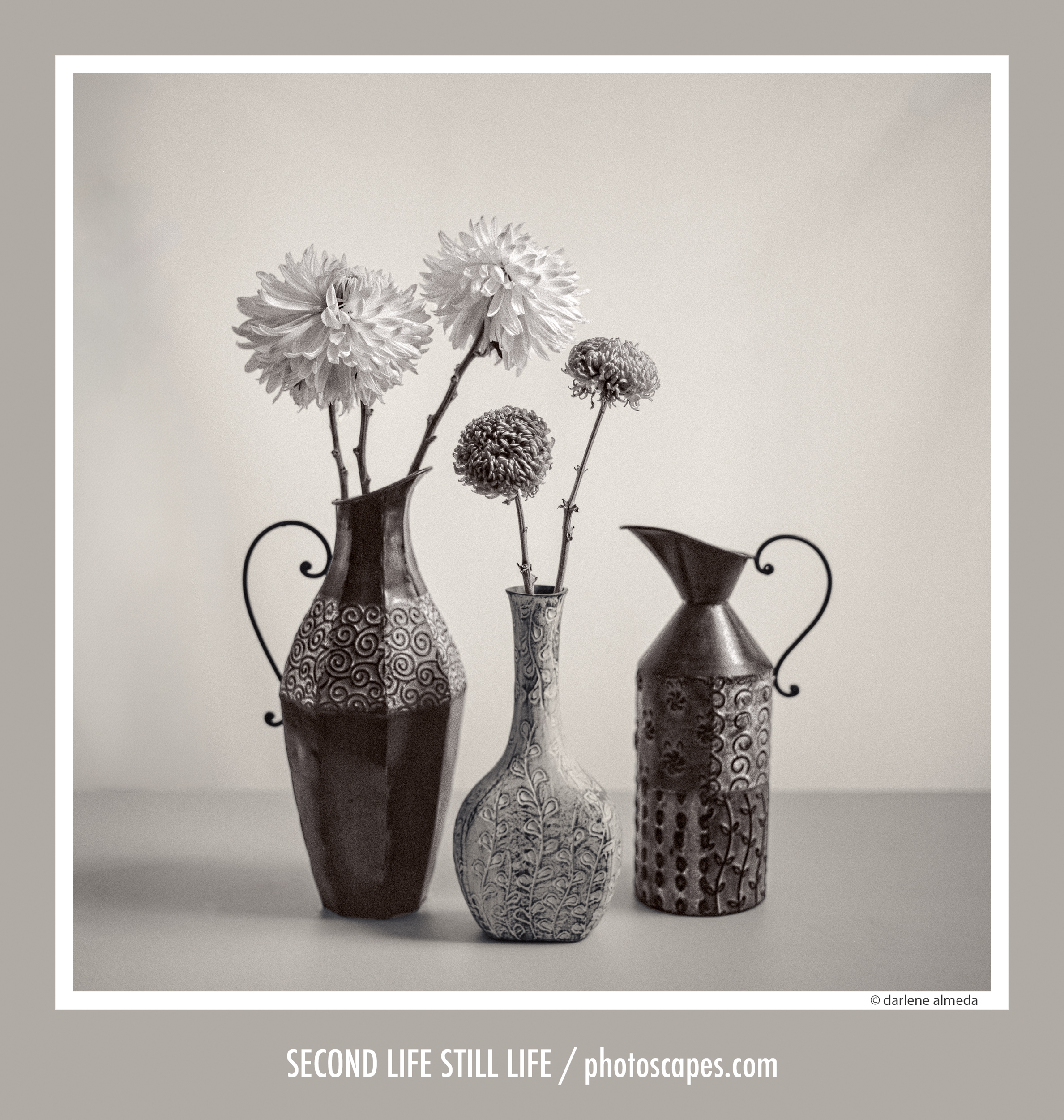 SECOND LIFE STILL LIFE