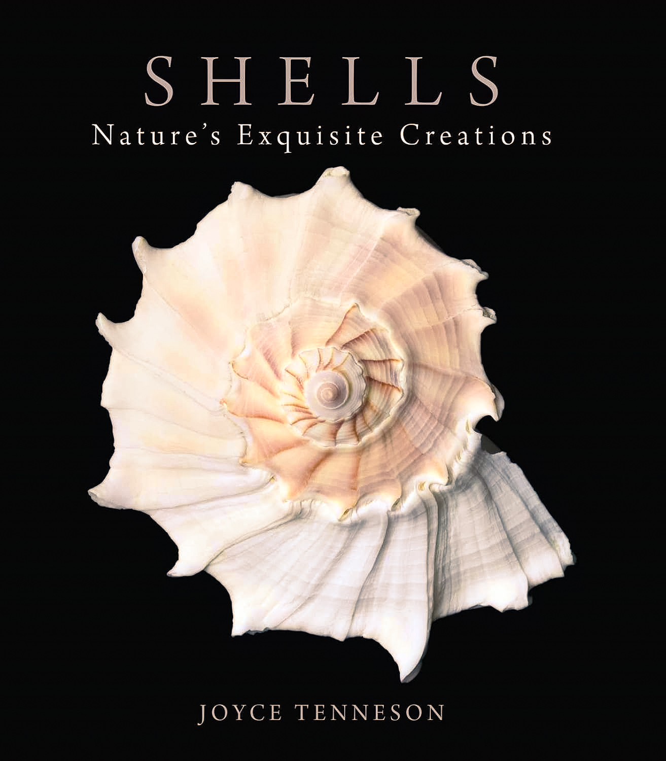 Joyce Tenneson’s Shells: Nature’s Exquisite Creations, A Review