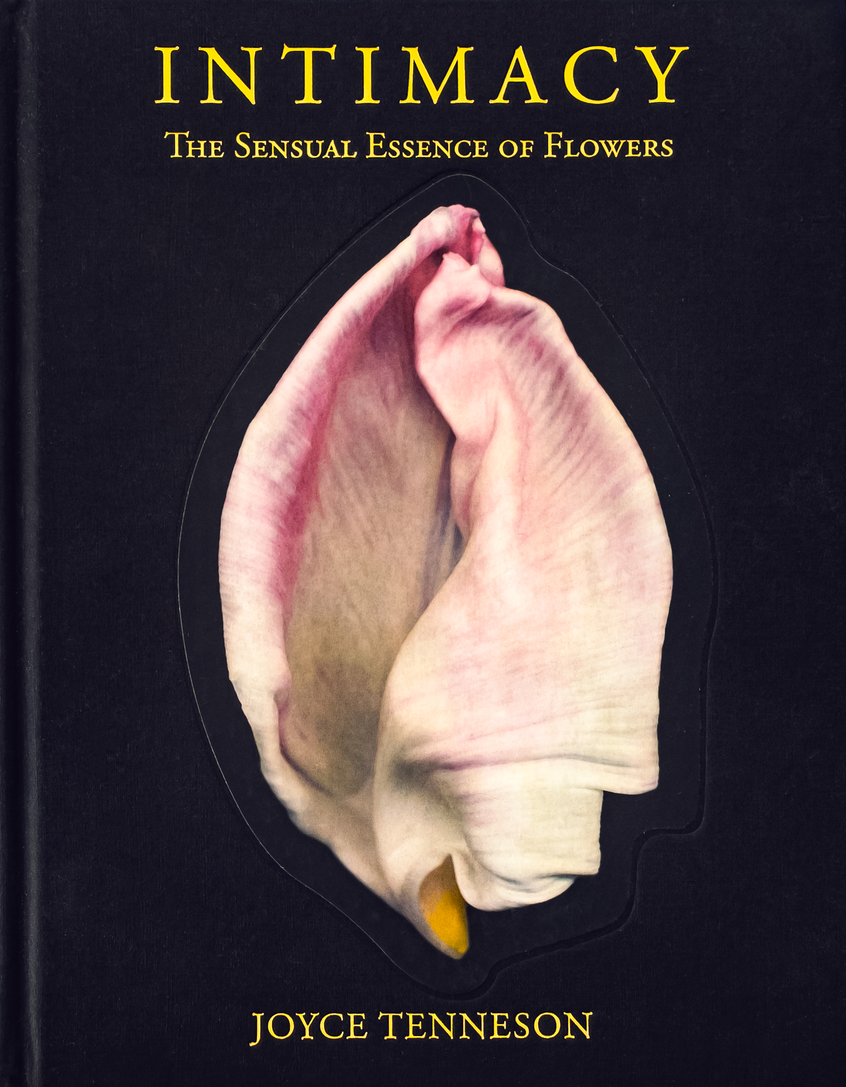 Mesmerizing Floral Beauty: Intimacy by Joyce Tenneson