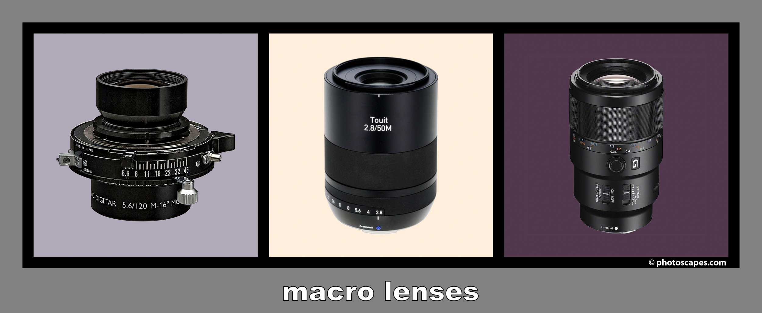 FILM DIGITIZATION: MACRO LENSES