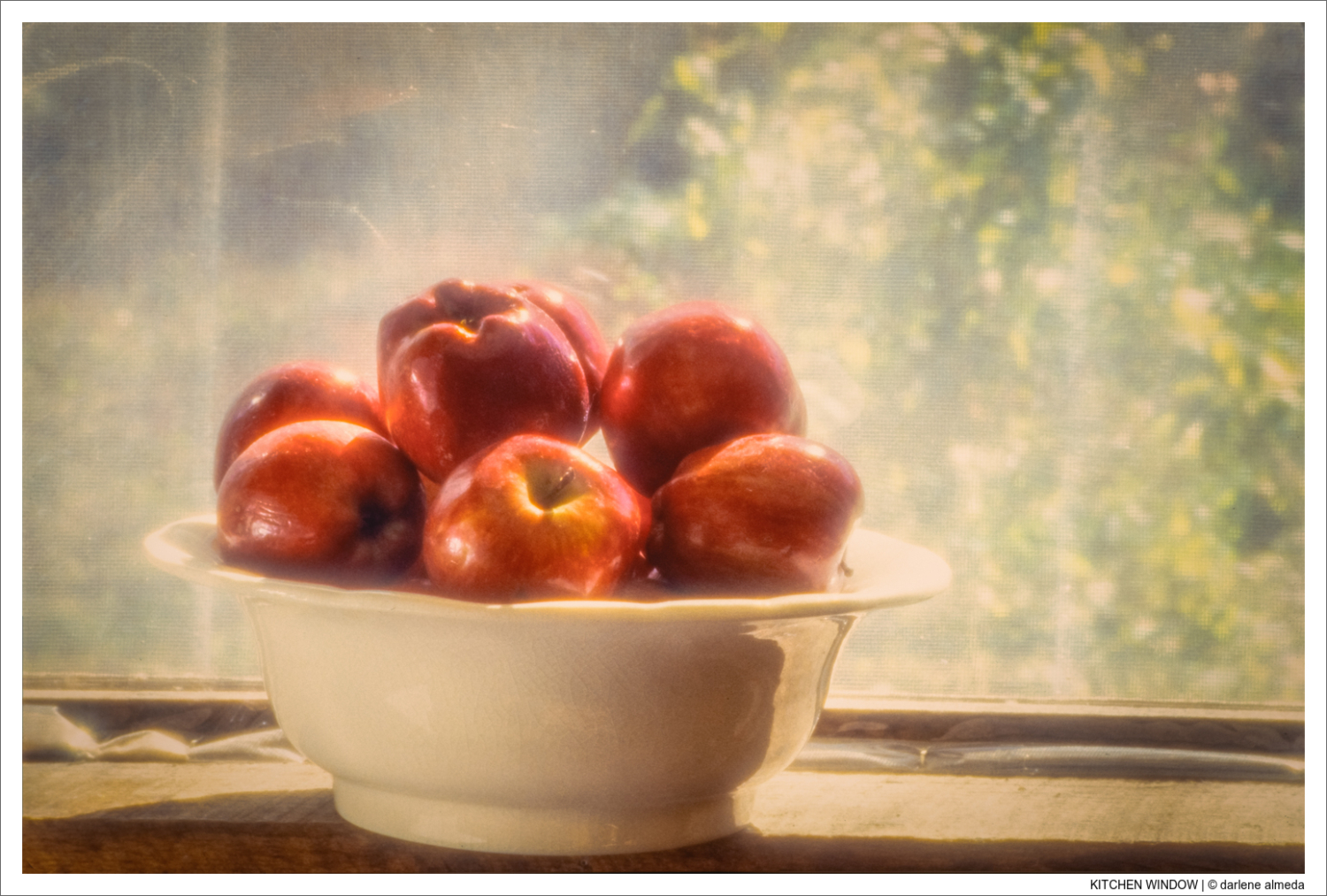 KITCHEN WINDOW