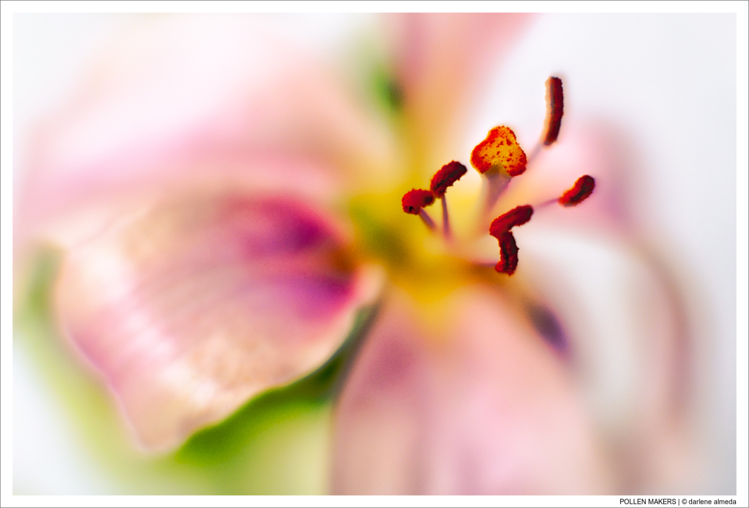 POLLEN MAKERS