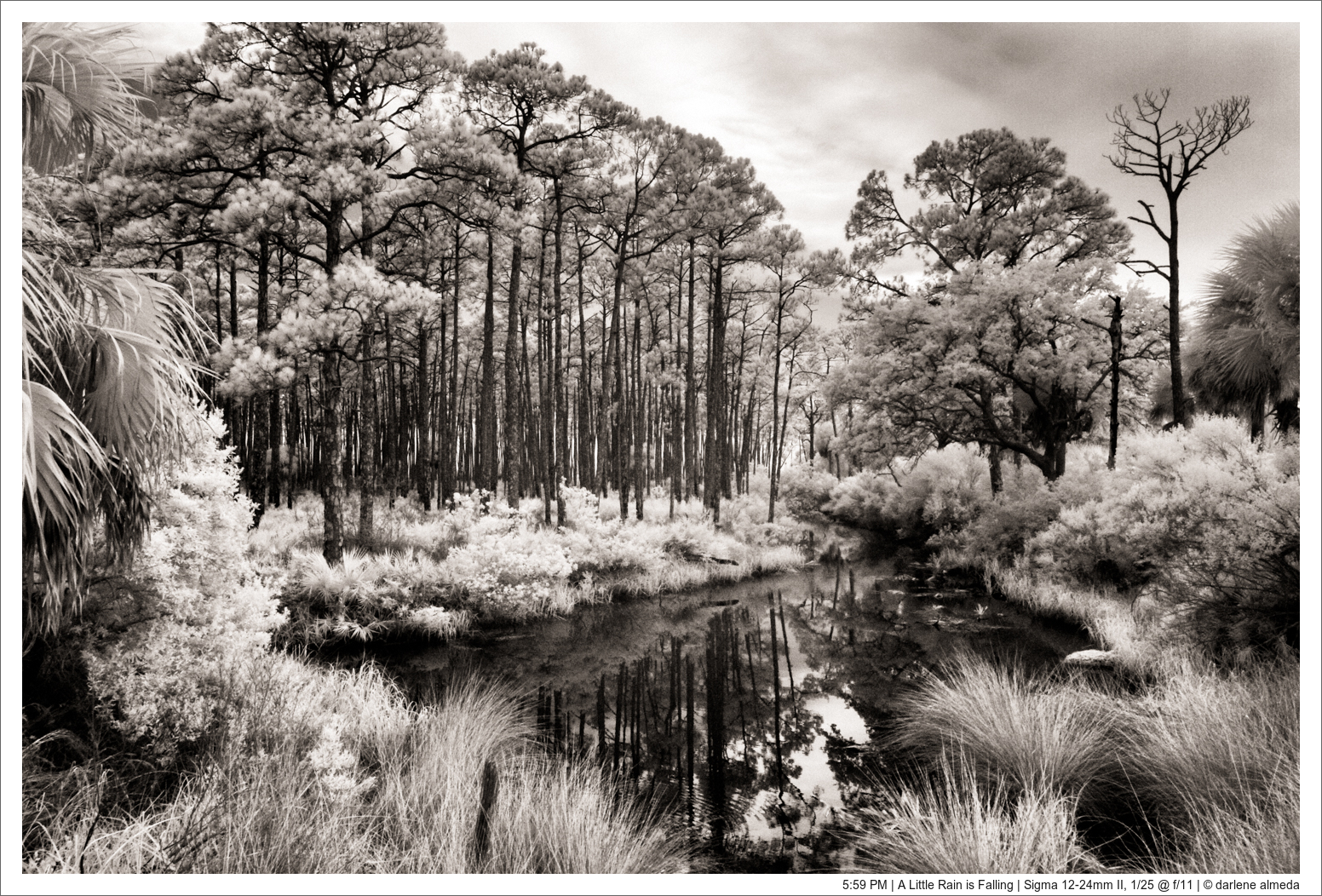 5:59 PM | A Little Rain is Falling | Sigma 12-24mm II, 1/25 @ f/11