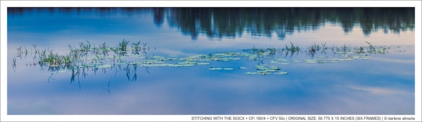 STITCHING WITH THE 503CX + CFi 180/4 + CFV 50c | ORIGINAL SIZE: 56.775 X 15 INCHES (SIX FRAMES)