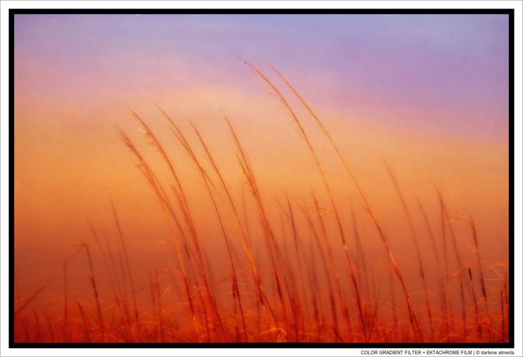 COLOR GRADIENT FILTER + EKTACHROME FILM