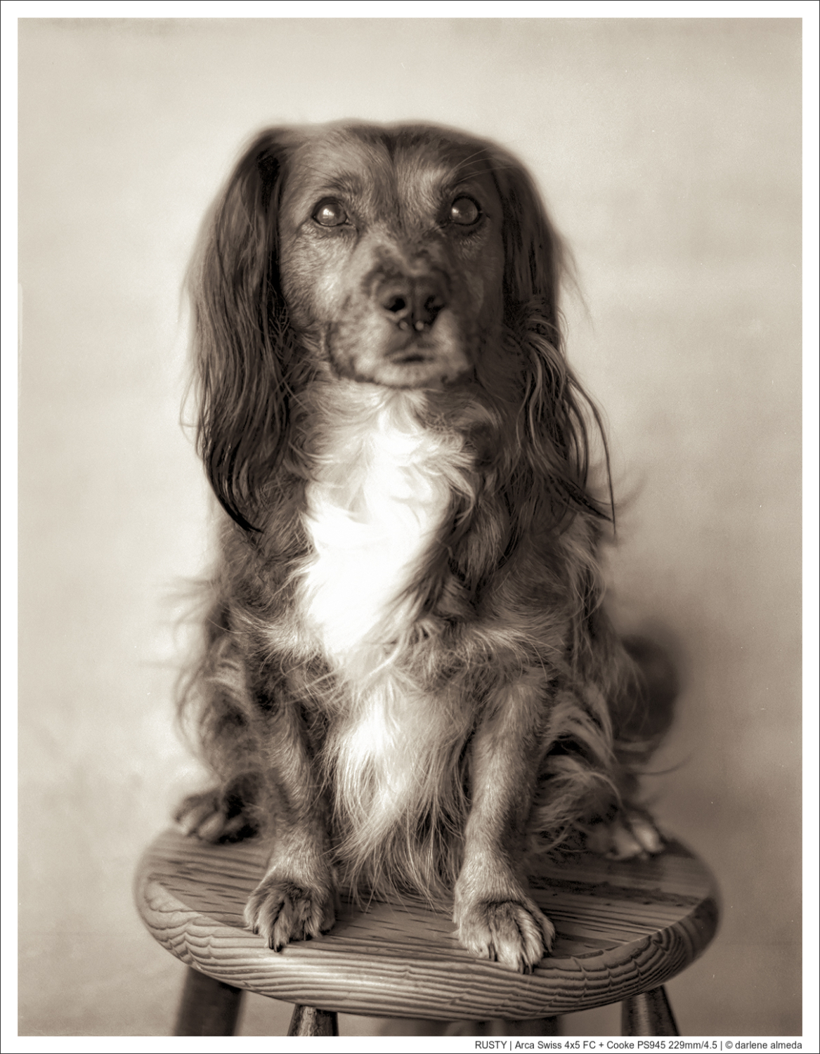 RUSTY | Arca Swiss 4x5 FC + Cooke PS945 229mm/4.5