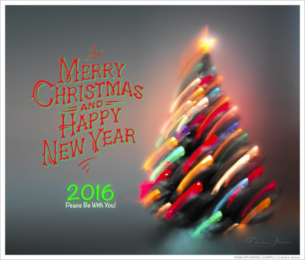 SIGMA DP2 MERRILL EXAMPLE