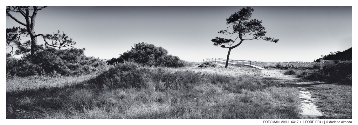 FOTOMAN MKII-L 6X17 + ILFORD FP4+