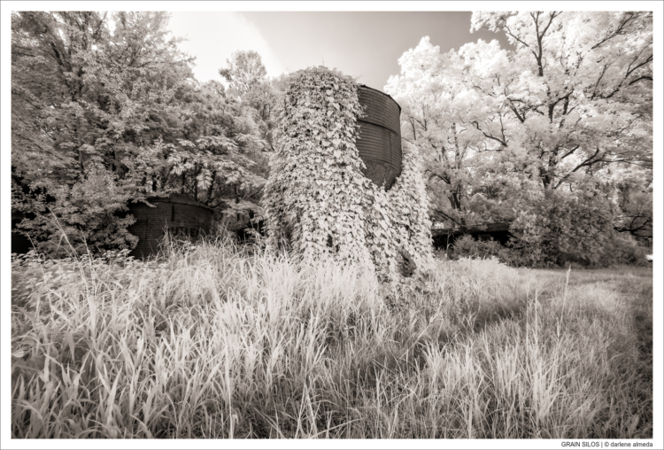 GRAIN SILOS