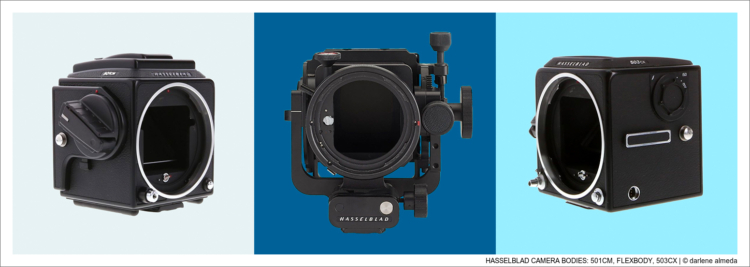 HASSELBLAD CAMERA BODIES: 501CM, FLEXBODY, 503CX