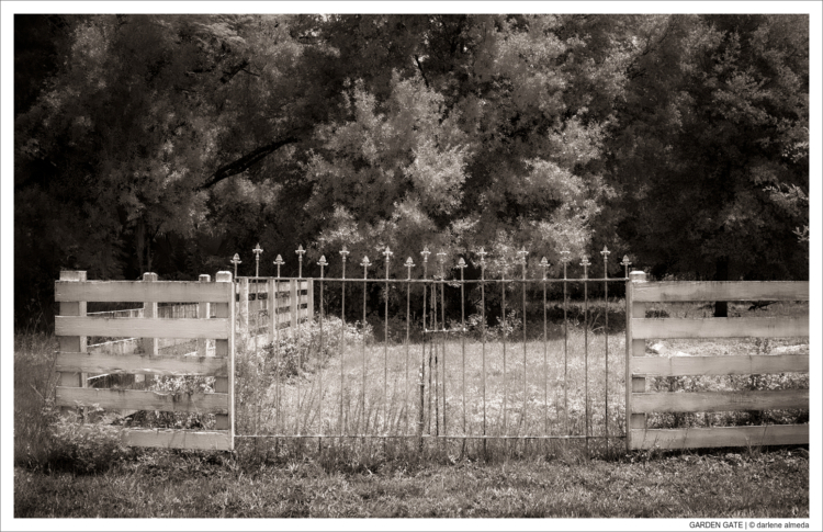 GARDEN GATE