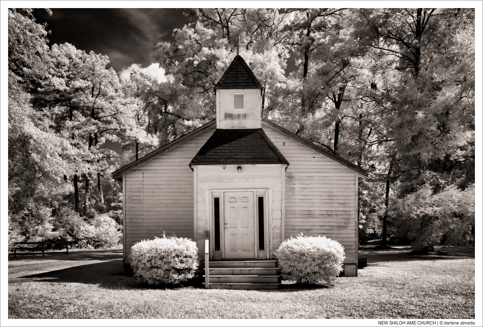 Infrared Photography Part 2: Sigma SD1M