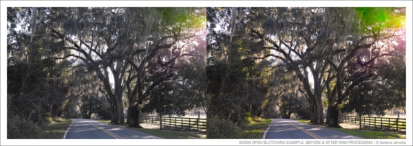 SIGMA DP2M BLOTCHING EXAMPLE: BEFORE & AFTER RAW PROCESSING