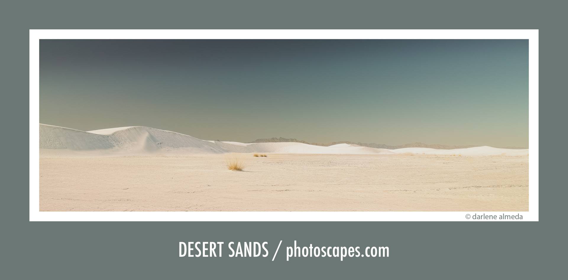 DESERT SANDS