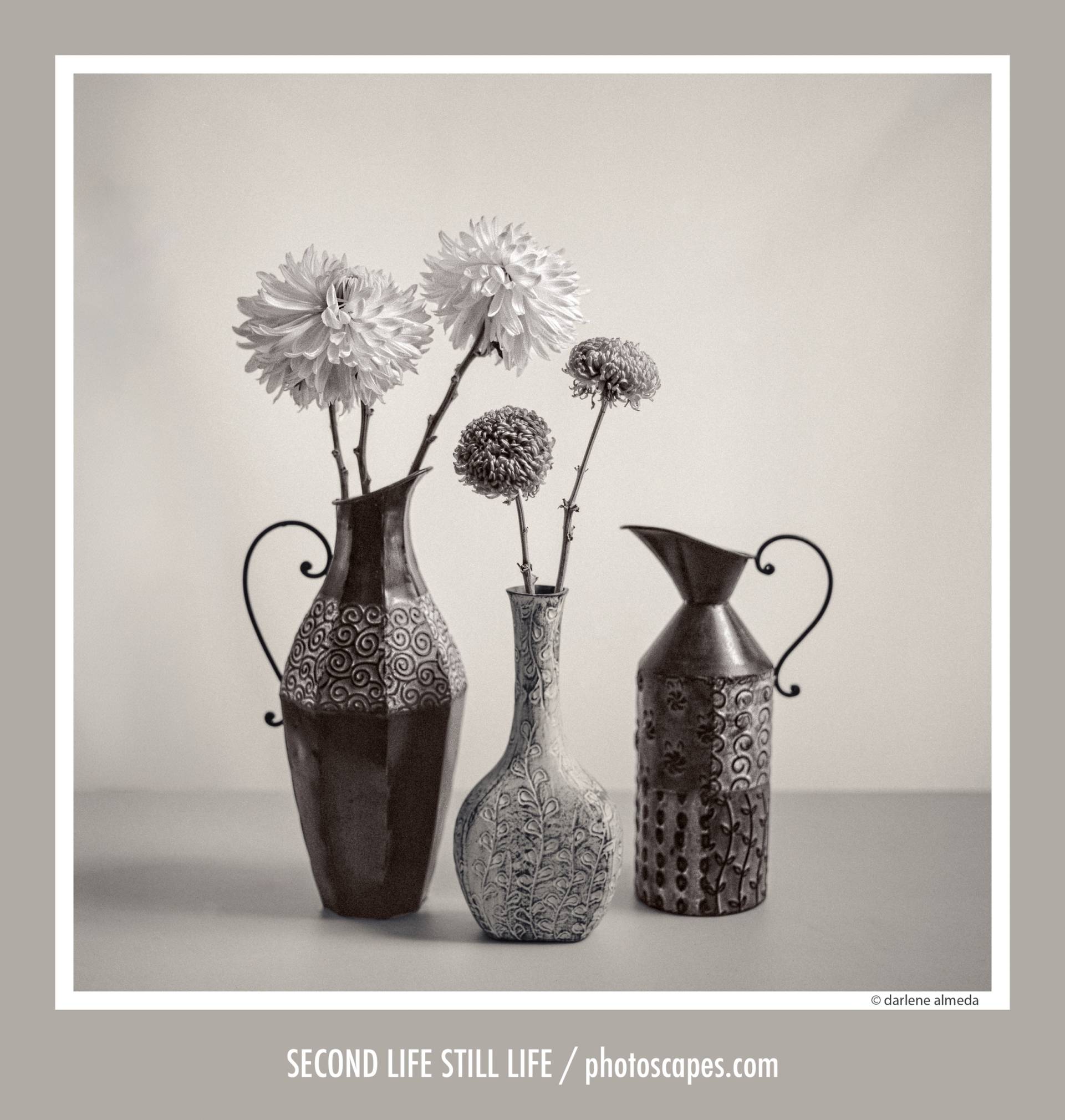 SECOND LIFE STILL LIFE