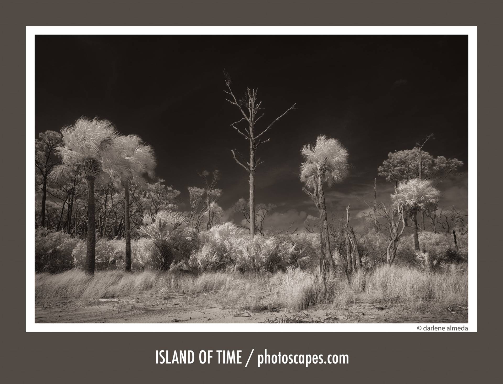 ISLAND OF TIME