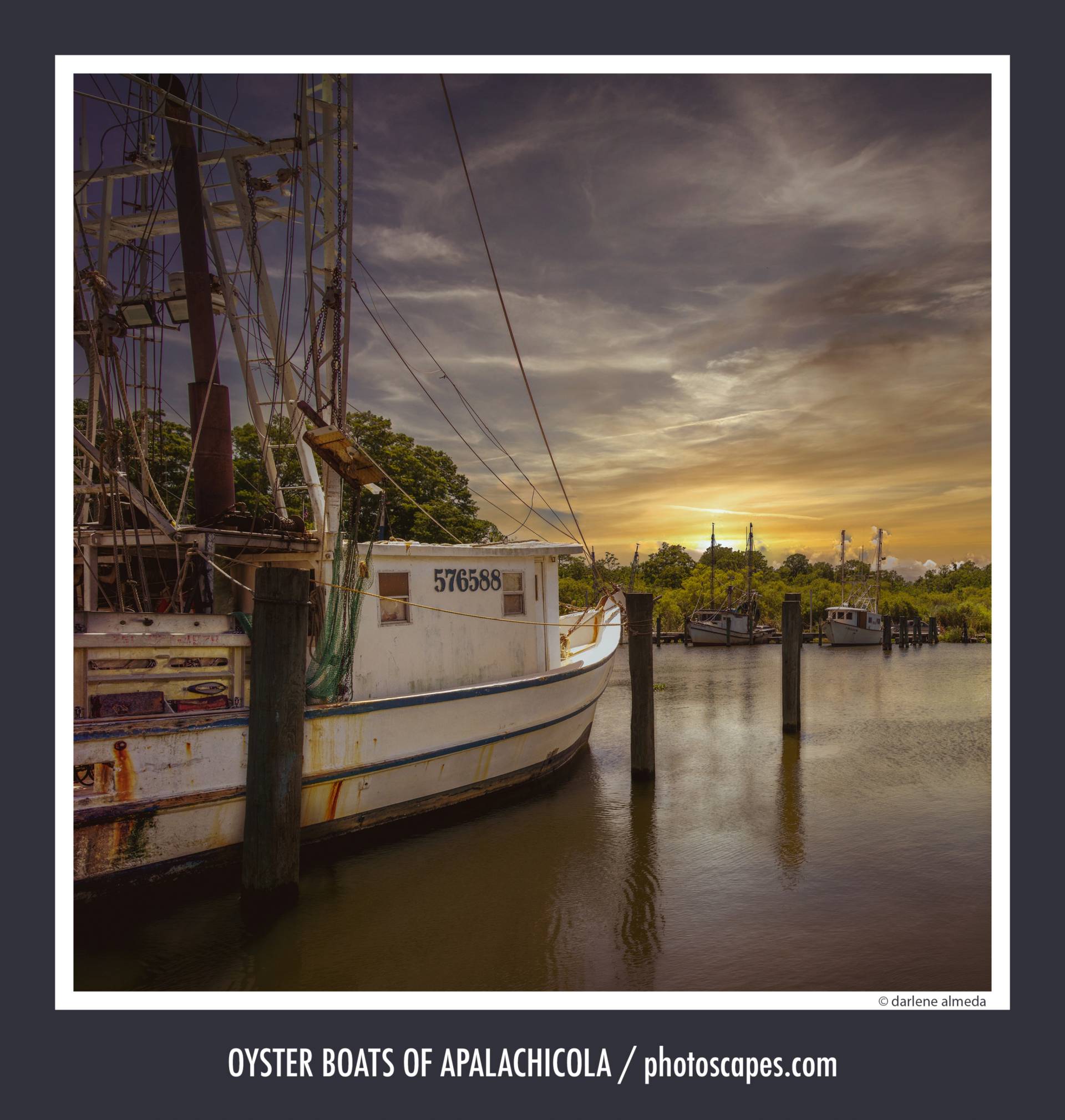 OYSTER BOATS OF APALACHICOLA