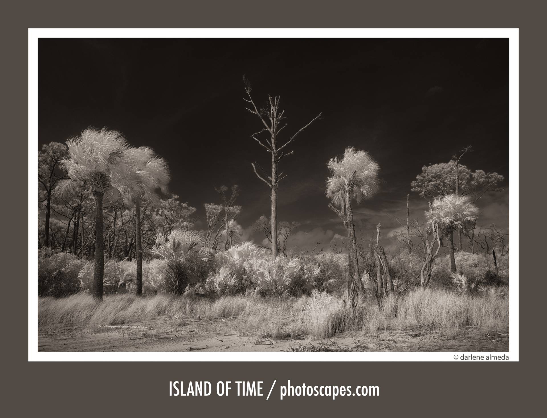 ISLAND OF TIME